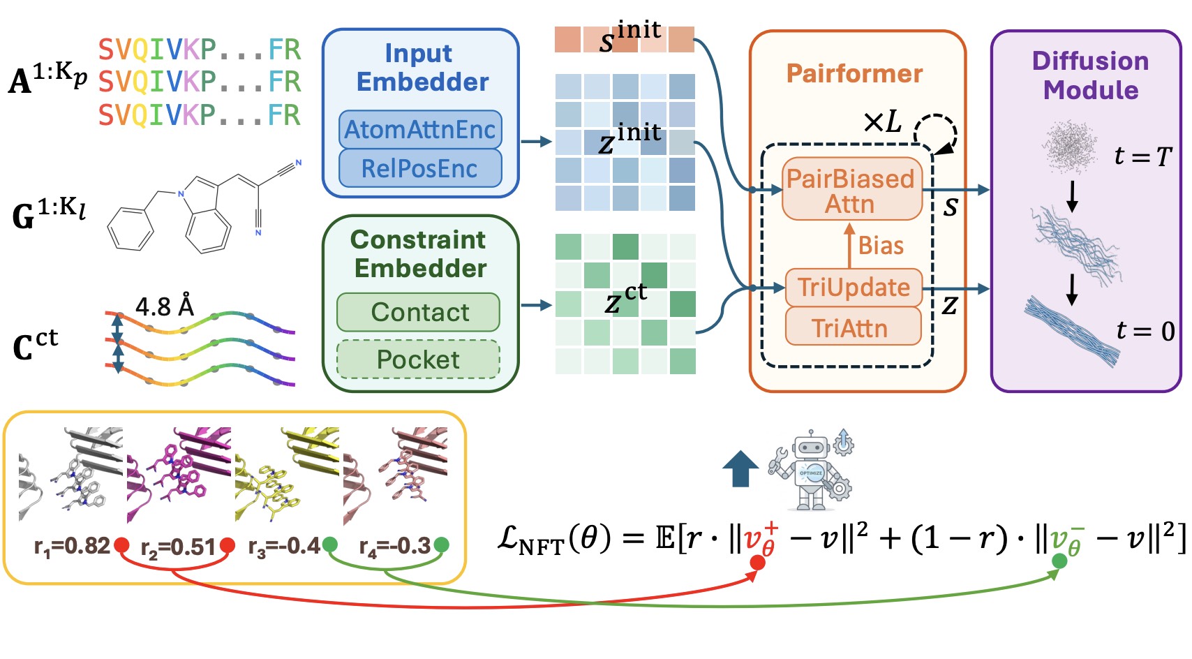CORAL cooperative amyloid fibril ligand docking overview